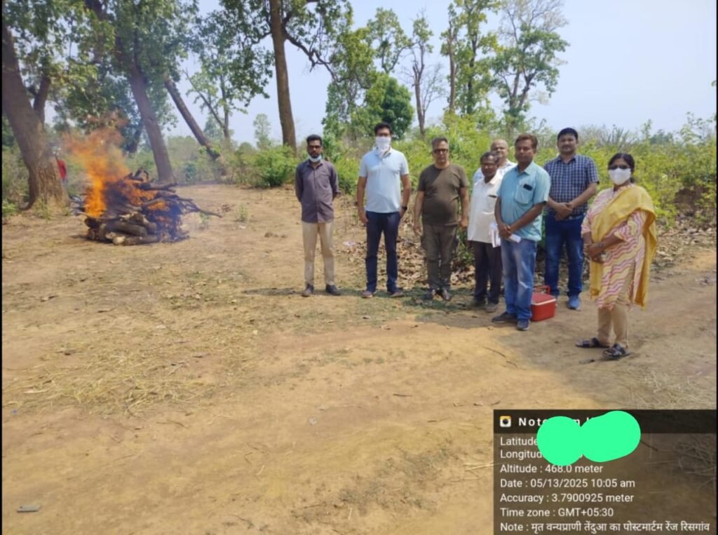 तेंदुआ आया था शिकार करने, लेकिन खुद बन गया कहानी