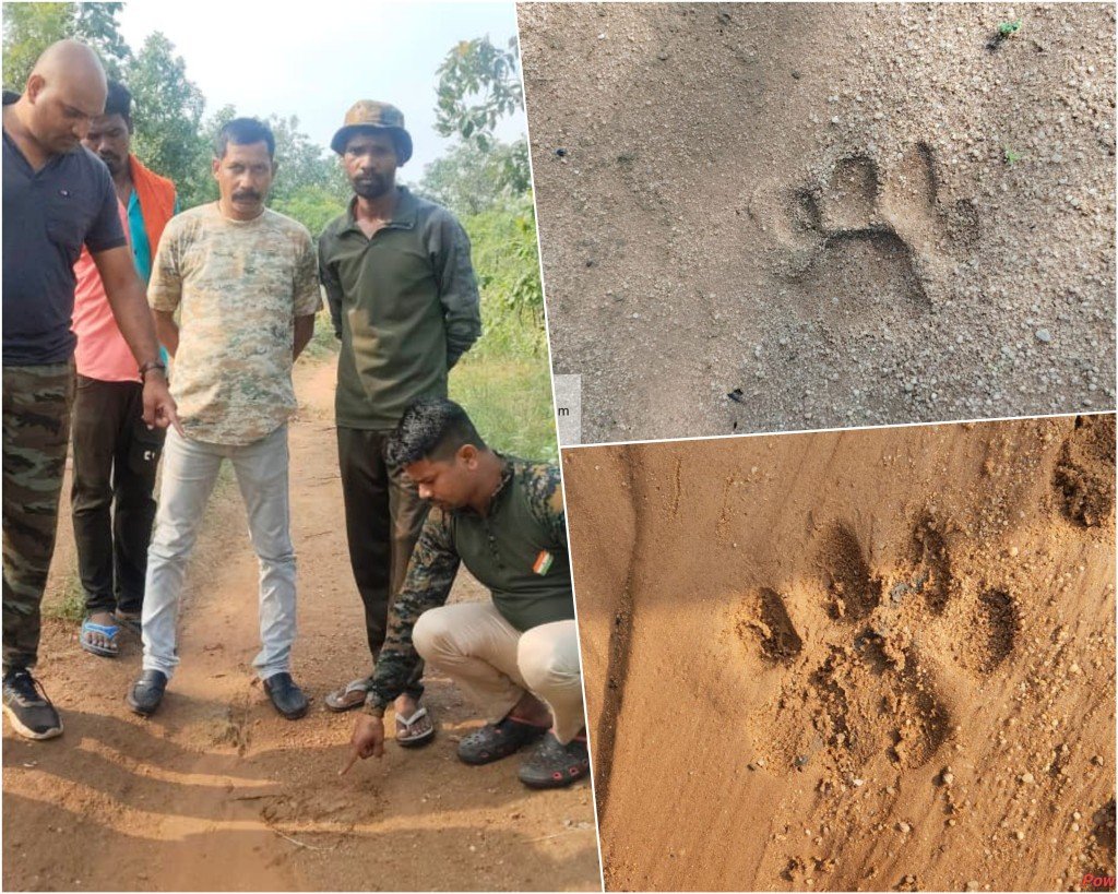 गरियाबंद वन परिक्षेत्र