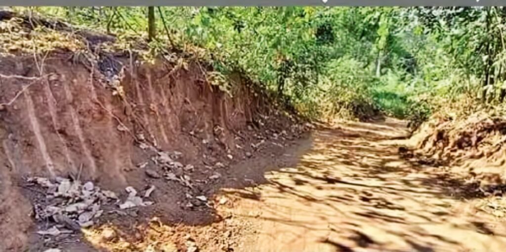 छत्तीसगढ़ में इंजीनियरिंग