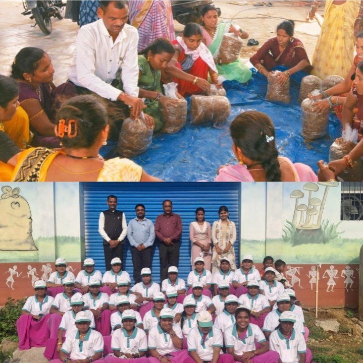 मशरूम खेती प्रशिक्षण गरियाबंद