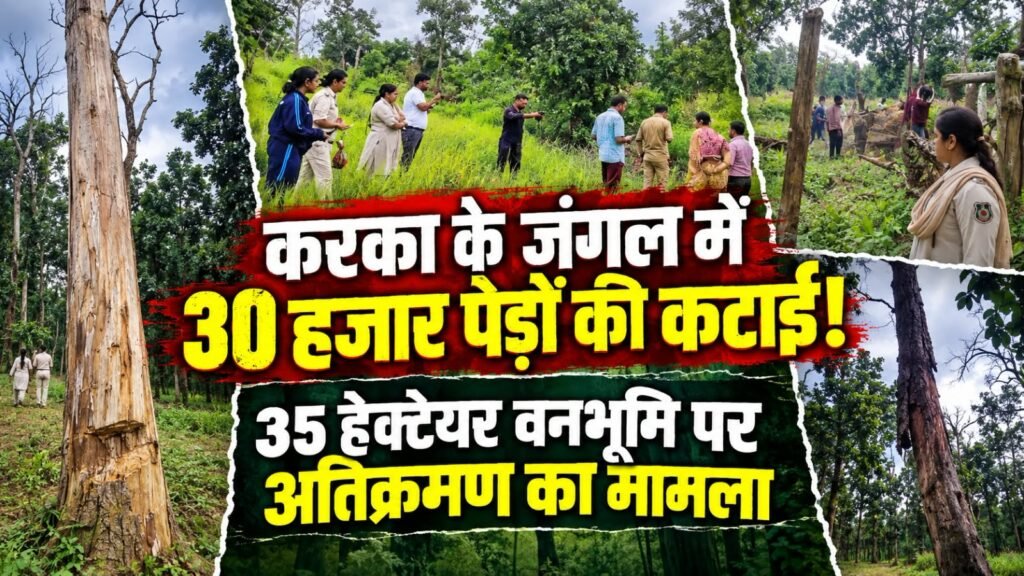 करका के जंगल में 30 हजार पेड़ों का रहस्य