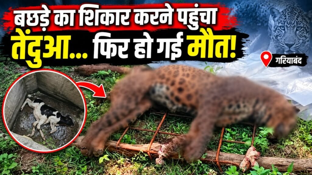 तेंदुए की मौत