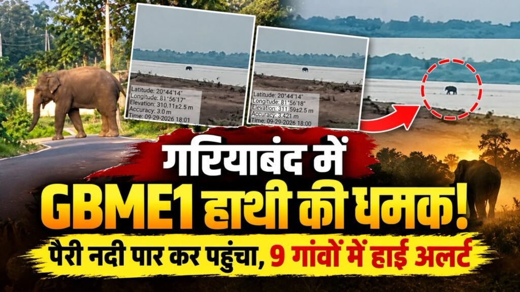 गरियाबंद में फिर गजराज की एंट्री