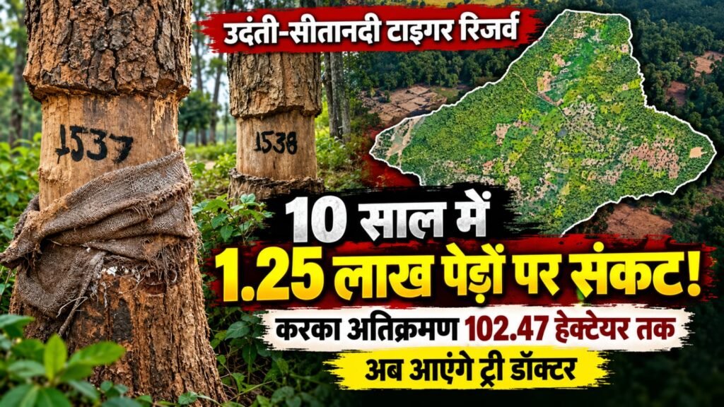 जंगल पर अतिक्रमण का ऐसा वार