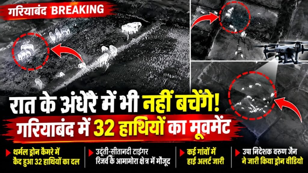 गरियाबंद में 32 हाथियों का मूवमेंट