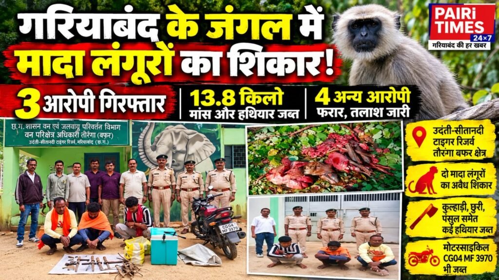 गरियाबंद के जंगल में मादा लंगूरों का शिकार